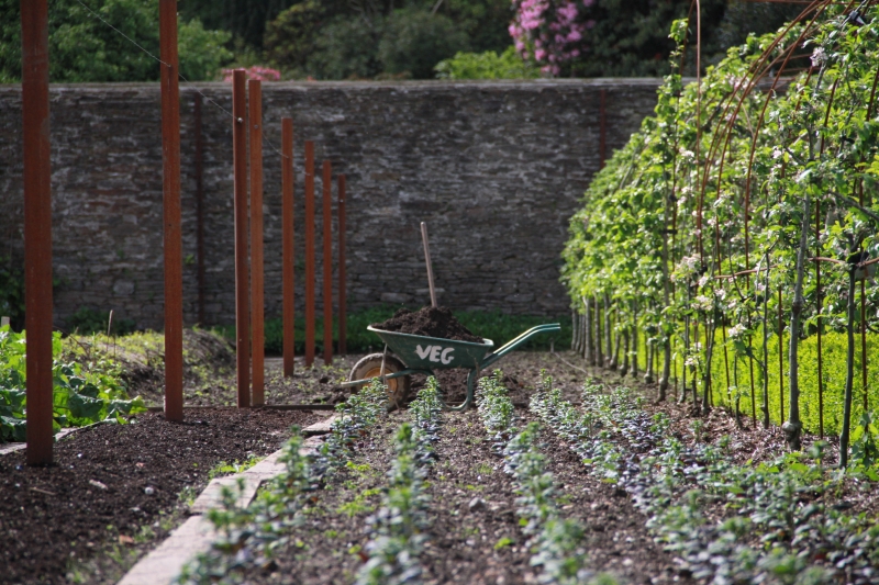 The Lost Gardens of Heligan